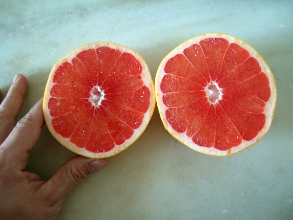 Pomelo